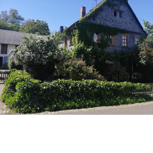 Atelier am Nationalpark