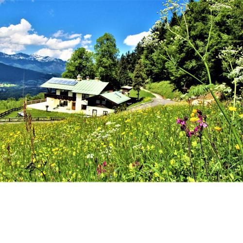 Atemberaubendes Bergpanorama mit herrlicher alpinen Almlandschaft