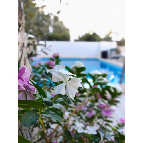ATHERİNA BUTİK OTEL