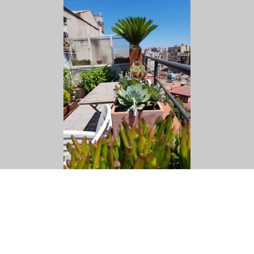 Ático romántico , céntrico y soleado, con terraza