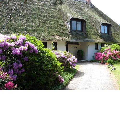 Atrium-Anlage Reethaus Hallig Oland Wohnung 13