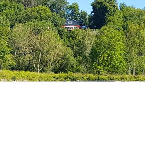 Attraktive FeWo am Harz mit historischer Lage im Wald