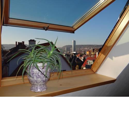 attraktives 2-Zimmer-Apartment mit Ausblick