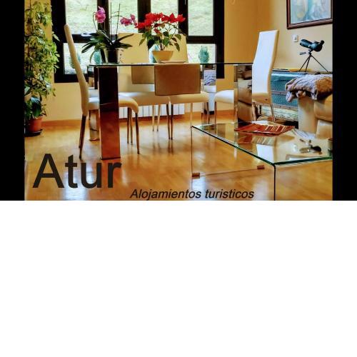 Atur