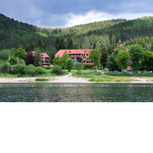 Auerhahn Wellnesshotel Am Schluchsee