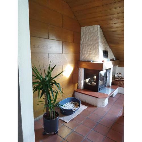 Aussergewöhnliche Atelierfereinwohnung mit Balkon an der Donau