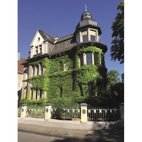 Auster-Appartements