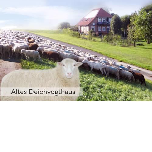Auszeit am Elbufer, Garten + Schafe + Sauna