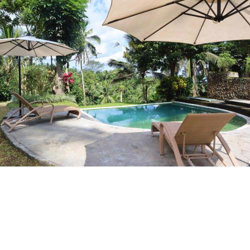 Aventus Resort Ubud