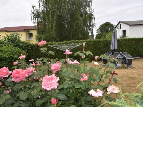 Awesome Bungalow in Rerik with Terrace