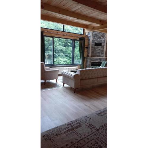 AYDER Levut Dağ Evi