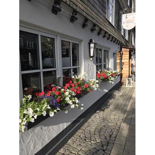 B & B Hotel Centrum Winterberg