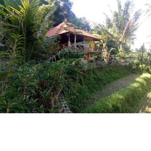 Babahan Farmstay