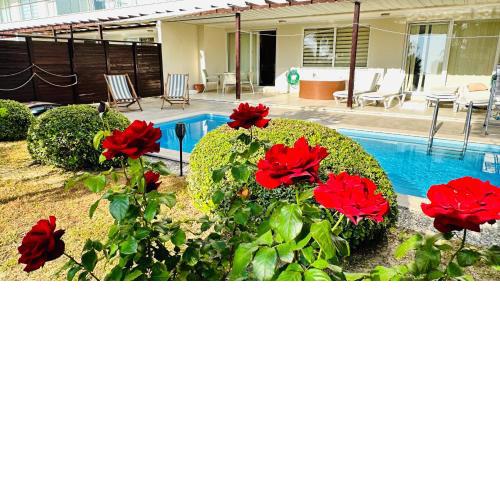 Babylon Luxury Villa with Private Pool and indoor Heated Pool