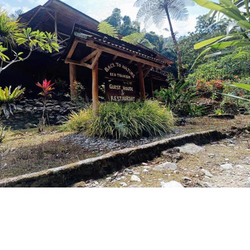 back to nature ecotourism