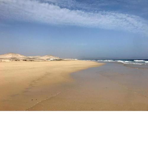 Bahia Sunlight Powered by SolymarCalma