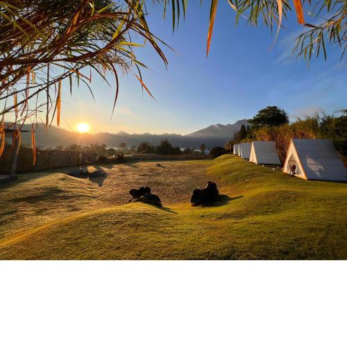 Bali Camps Park