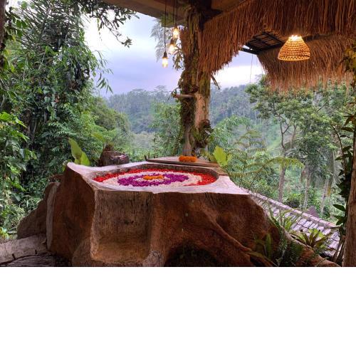 Bali Inang Jungle View