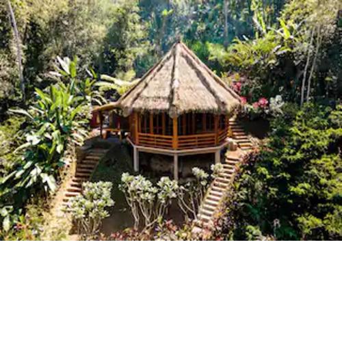 Bali Jungle Taksu