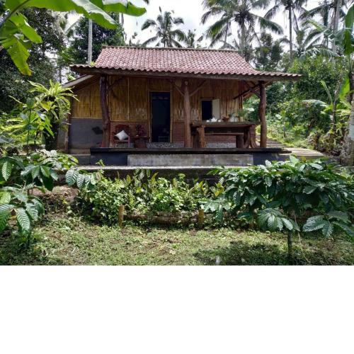 Bali mountain forest cabin