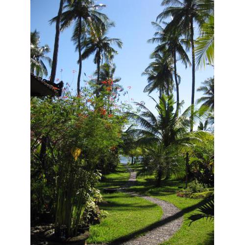 Bali Sandat