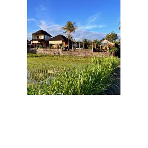 Bali Traditional homestay