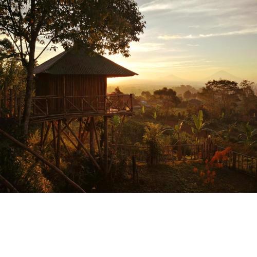 Bali Tree House Pelangi