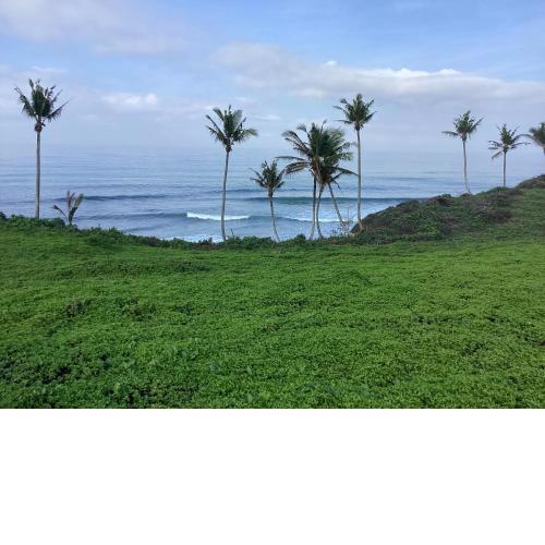 Balian Seaview Surf Villas
