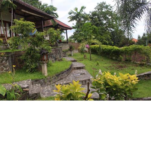 Bamboo Bali