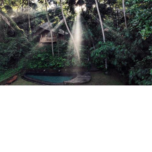 Bamboo Turtles Ecolodge