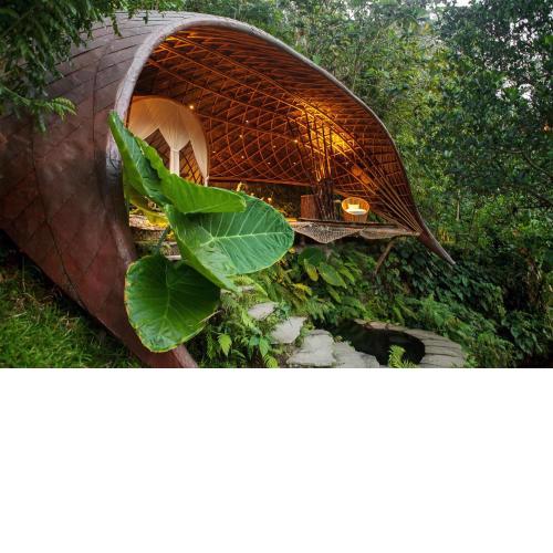 Bambu Indah