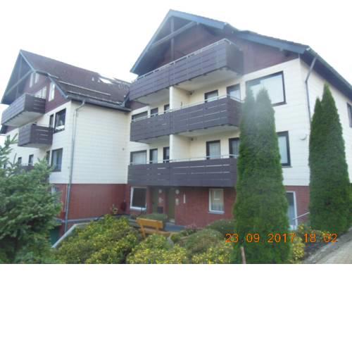 Bärennest