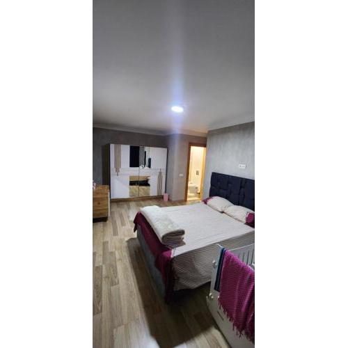 Baris Mah, Kardelen Sk. BekTek Sit, N.12 B1 K.12 D.24 Beylikduzu/istanbul 34520 Turkey