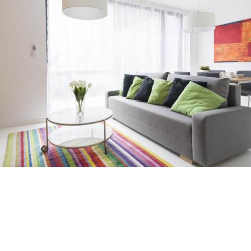 Baron Apartments Sušice