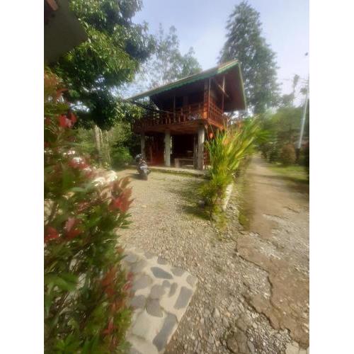 Barus Jungle View