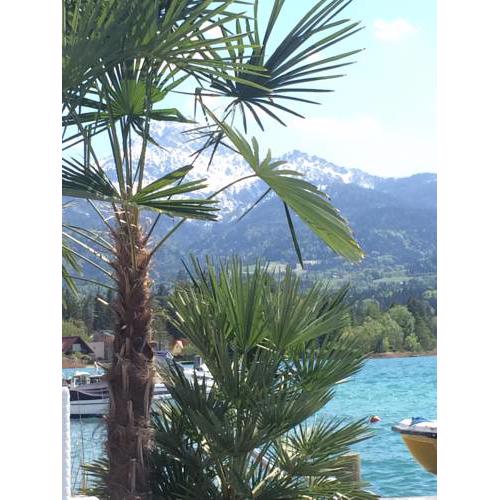 Basecamp FaakerSee