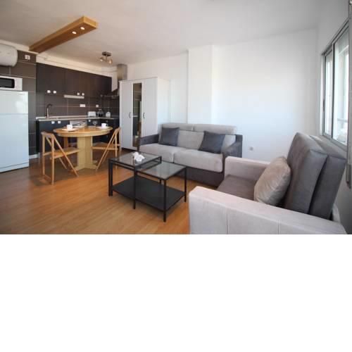 BASIC COMFORT Studio Albatros 12