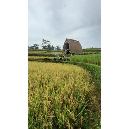 Batan Nyuh Retreat