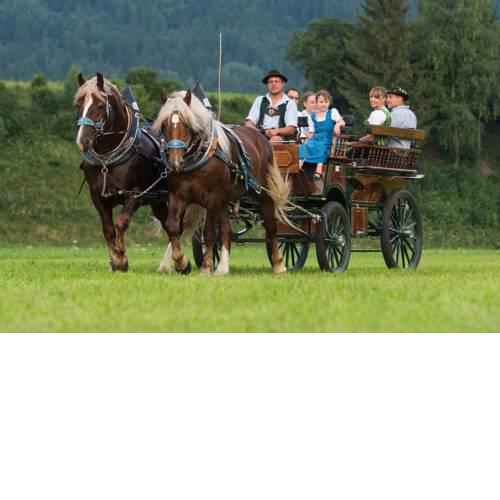 Bauernhof Kotz