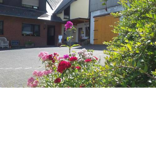 Bauernhof Sesterhenn