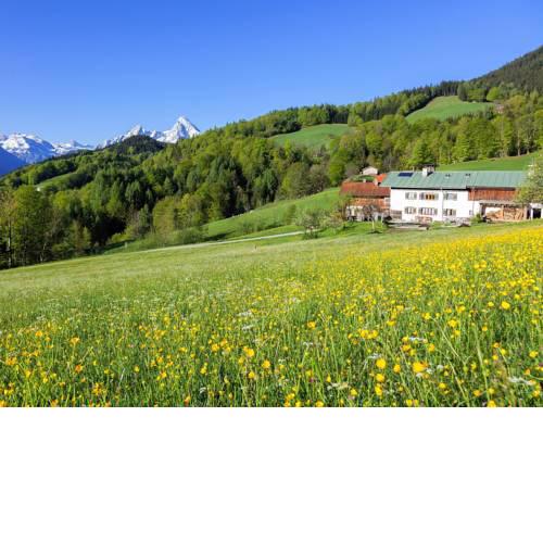 Bauernhof Vorderstiedler