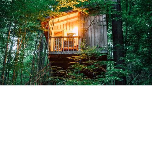 Baumhaushotel Solling
