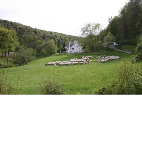 B&B Arlesbrunnen