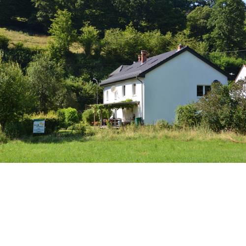 B&B Der Schmetterling