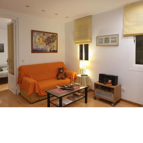 BCN Tourist Apartment