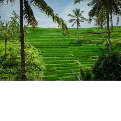 Be Bali Stay