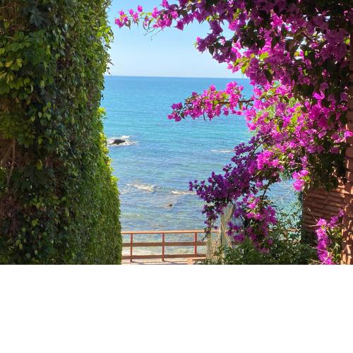 BEACH HOUSE EL BOSQUE