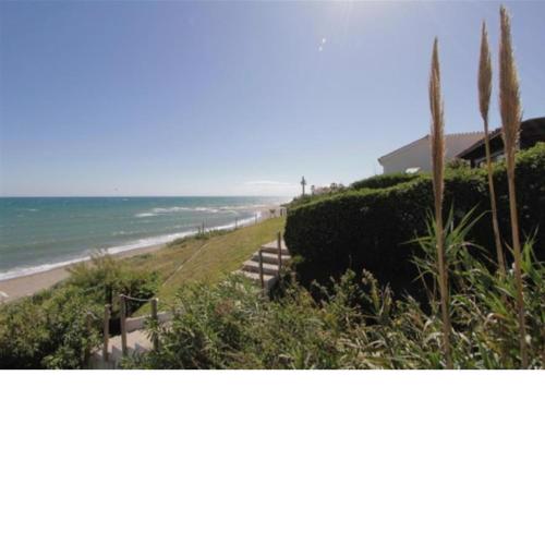 Beach House