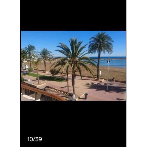 Beachfront vila