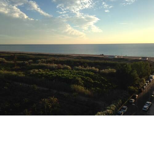 BeachView and Two steps away from the beach